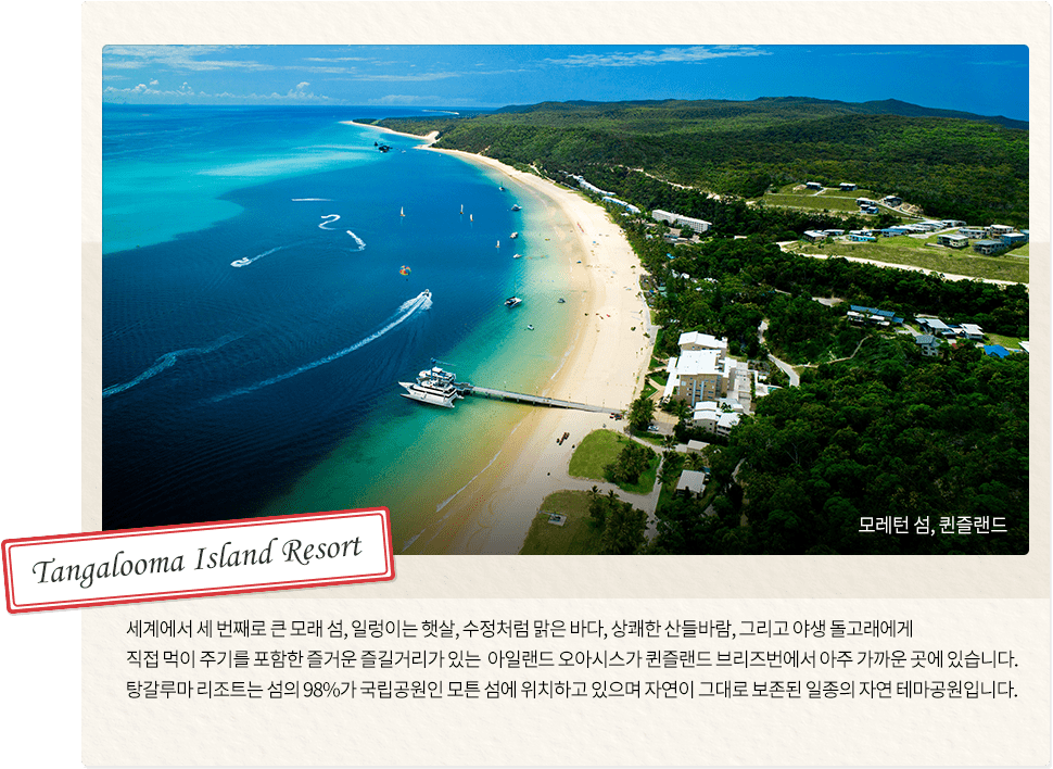 슬라이드 2, Tangalooma Island Resort, 모레턴 섬, 퀸즐랜드, 세계에서 세 번째로 큰 모래 섬, 일렁이는 햇살,
		                                                                        수정처럼 맑은 바다, 상쾌한 산들바람, 그리고 야생 돌고래에게 직접 먹이 주기를 포함한 즐거운 즐길거리가 있는 아일랜드 오아시스가 퀸즐랜드 브리즈번에서 아주 가까운 곳에 있습니다.
		                                                                        탕갈루마 리조트는 섬의 98%가 국립공원인 모튼 섬에 위치하고 있으며 자연이 그대로 보존된 일종의 자연 테마공원입니다.