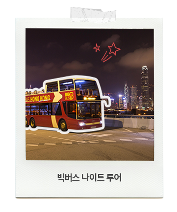 빅버스 나이트 투어