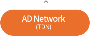 AD Network(TDN)